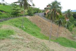 Terreno  venda  em Ilhabela-SP - Siriba I. REF:TE-657